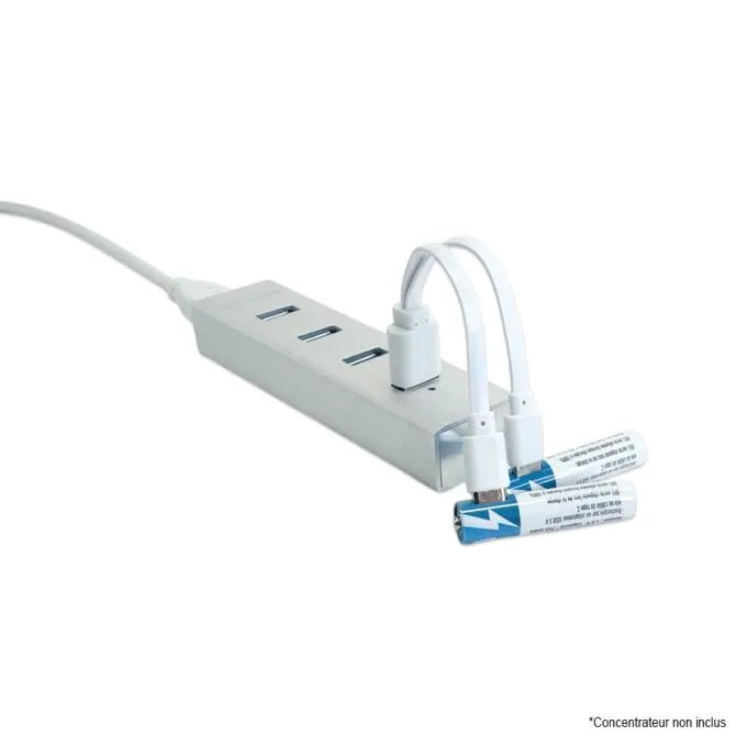 Pile rechargeable AAA Li-ion avec câble 2 x USB-C - 1.5V - Paquet de 2